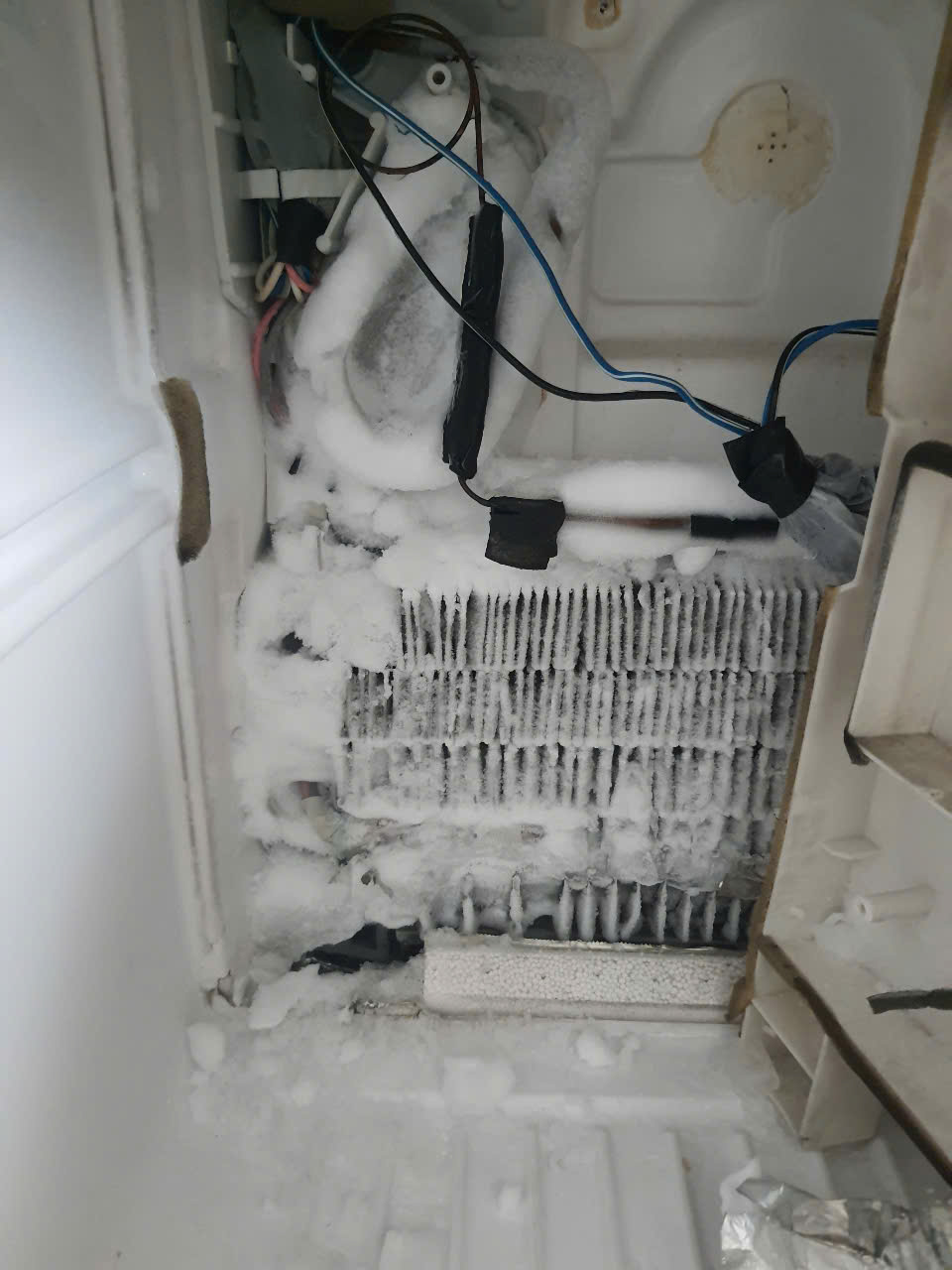 [ *& ] Sửa Tủ Lạnh Gần Đây - Giải Pháp Phục Vụ Tức Thì #TOP1