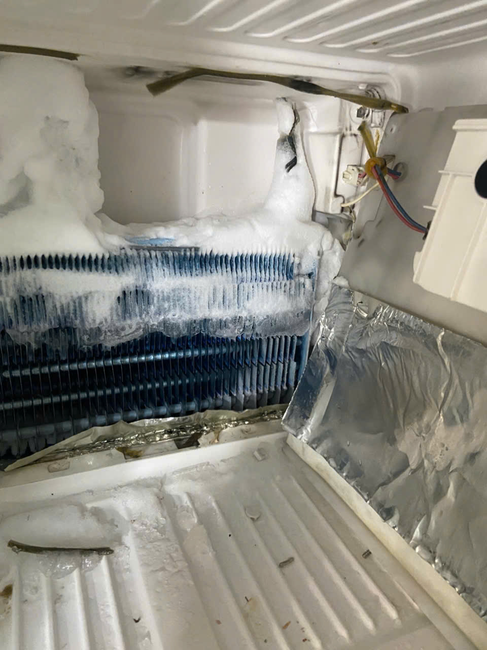 [ *& ] Sửa Tủ Lạnh Không Lạnh Quận Tân Bình - Giải Pháp Phục Hồi Điện Lạnh