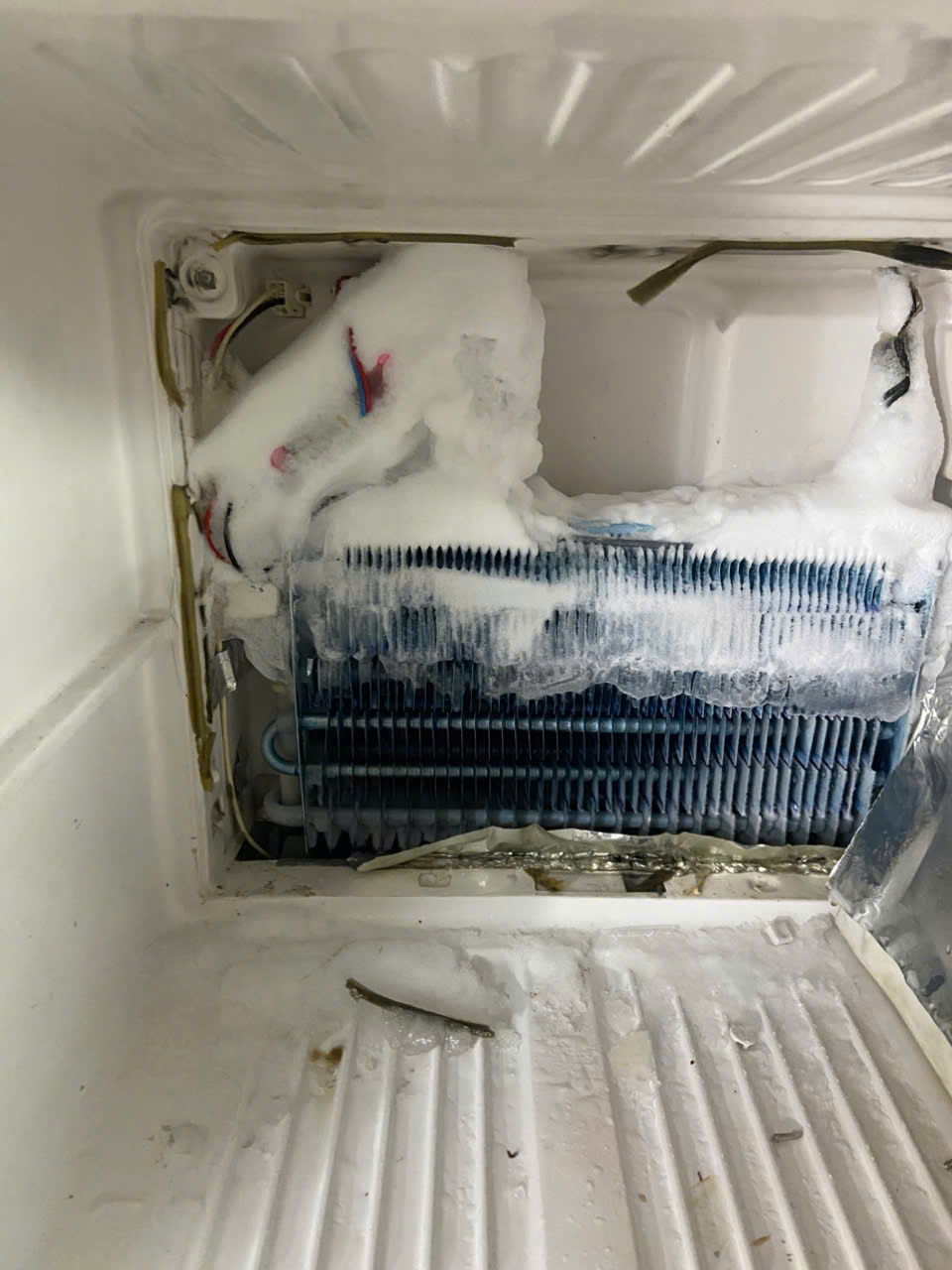 [ *& ] Sửa Tủ Lạnh Không Lạnh Quận Tân Bình - Giải Pháp Phục Hồi Điện Lạnh